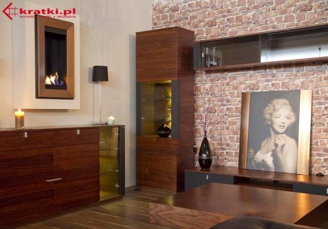 Биокамин Kratki CHARLIE 2 TUV стальной